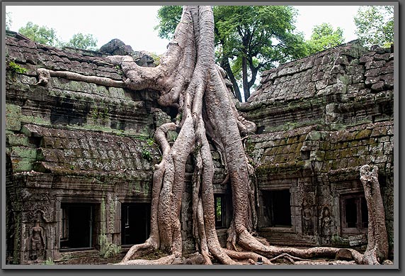 Angkor Ruins 2