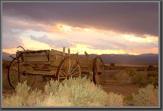 wheelbarrow