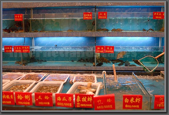 Fish Market