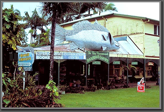 daintree