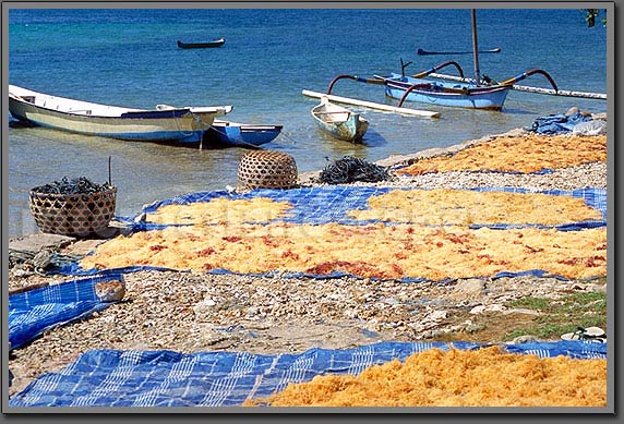 lembongan