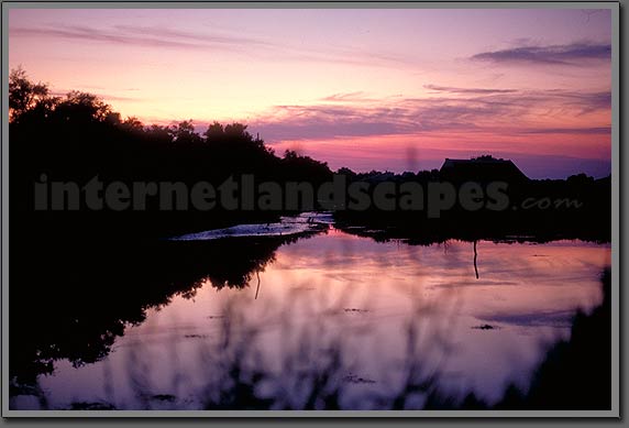 camargue france