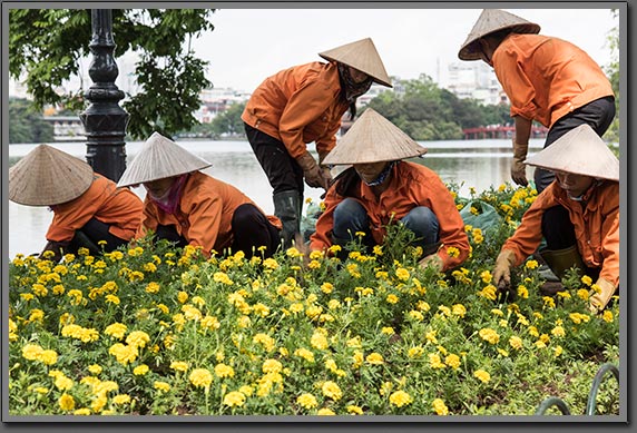 Garden workers photo