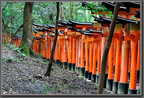 Fushimi Inari