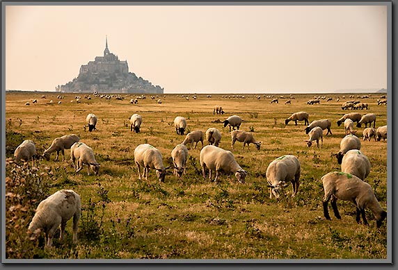 Le Mont Saint-Michel photo