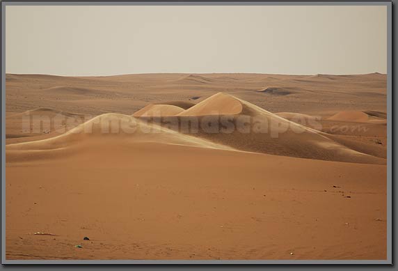 windy dunes