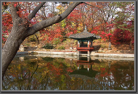 Autumn temple Seoul